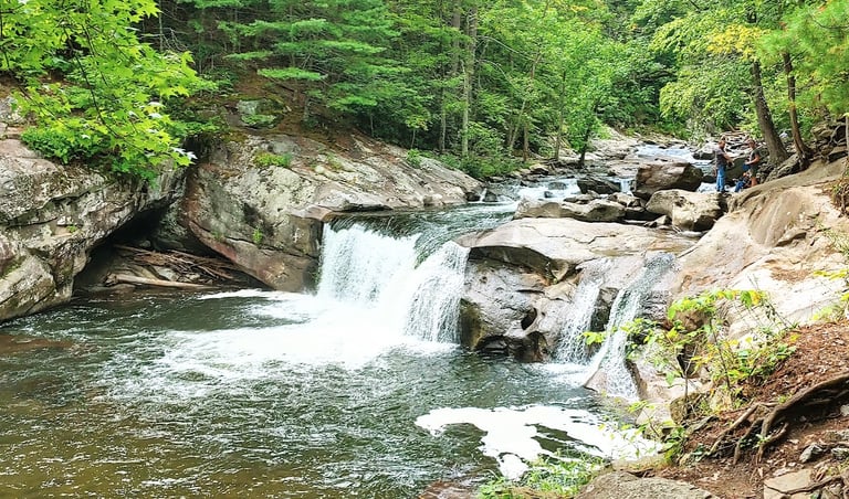 Tellico Plains TN - walk along the road to access Tellico River and see Baby Falls 