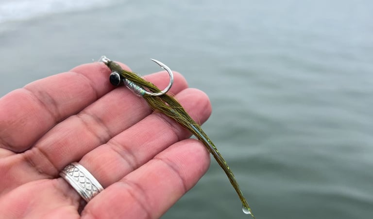 Olive clouser minnow