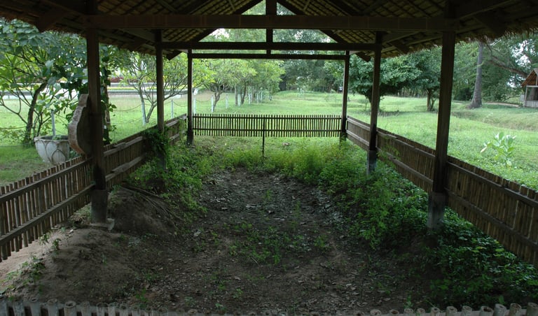 mass grave at Choeung Ek Genocide Centre, Phnom Penh, Cambodia