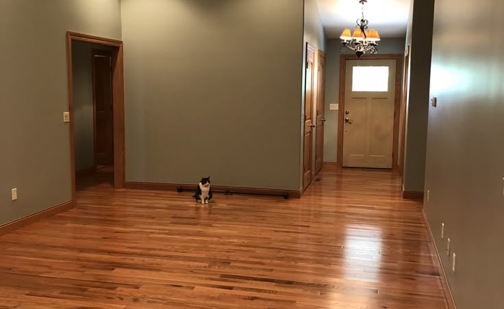 LVT Flooring & Vinyl Flooring shop near me Pratap vihar Siddharth Vihar