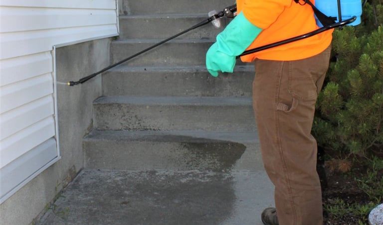 how to keep bugs out of house