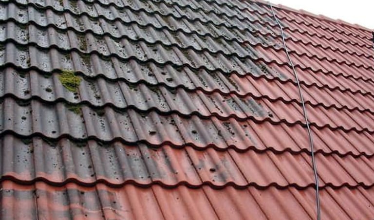 Roofs Potential Health Risks broward county and surrounding cities 