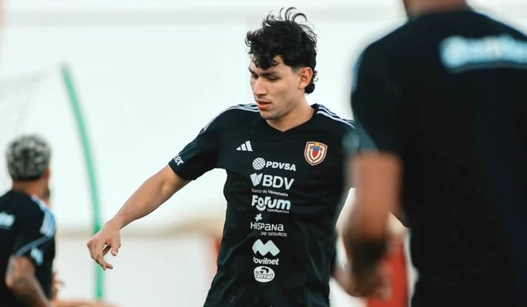 Zagueiro Ferraresi do  Botafogo