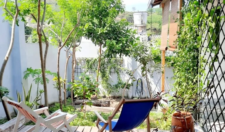 Wooden deck with reclining chairs in a lush backyard garden with green trees and potted plants.