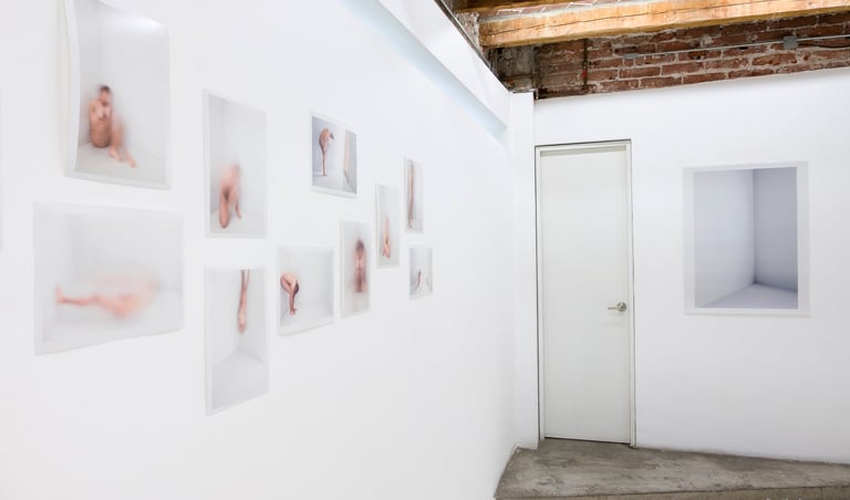 Fotografia de montaje de serie autofagia en galeria plaga