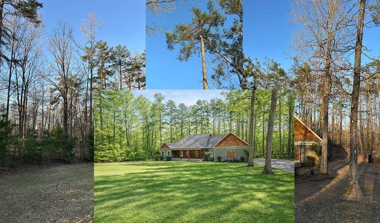 After Rooted Brothers Tree Co did a job in Shiloh Falls close to Pickwick Lake