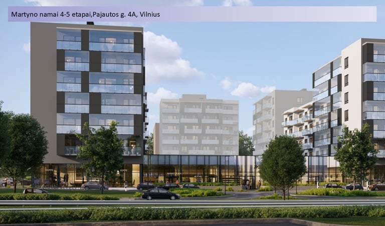 eismas_srautai_modeliavimas_transporto_tyrimai_VMPEI_PKSV 26