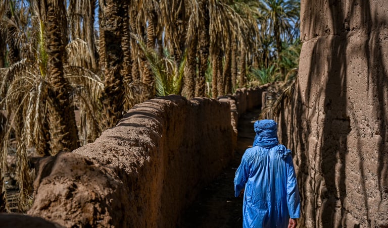 guided tour in zagora with dar toda - soul of nomads