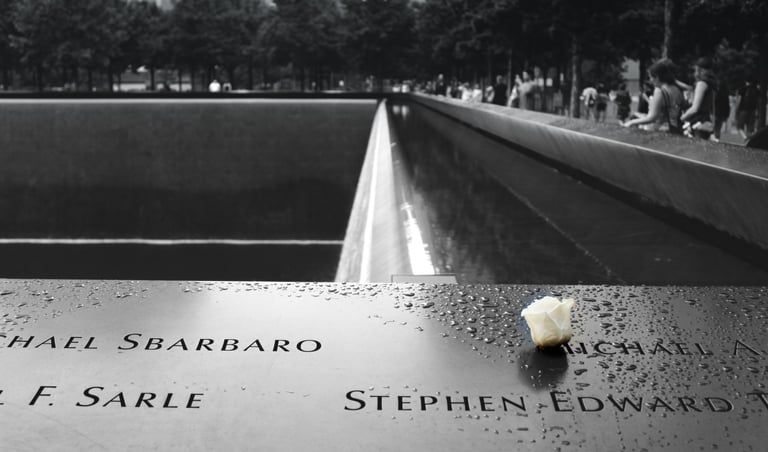 Ground zero veduta piccolo fiore bianco lasciato sulla tomba