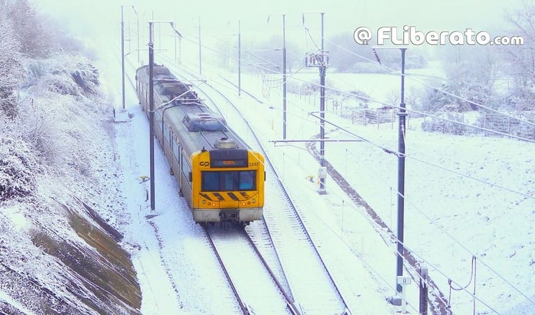 UTE 2242 Beira Baixa Guarda Neve