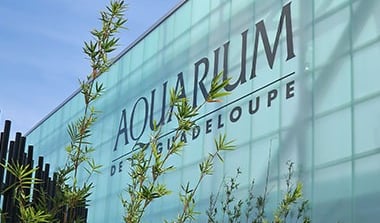 Aquarium Voyage France Guadeloupe