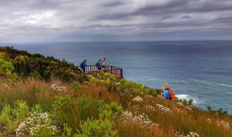 hiking in Knysna Fitness Retreat