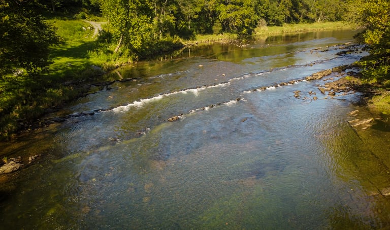 Fly Fish the South Holston River in Tennessee