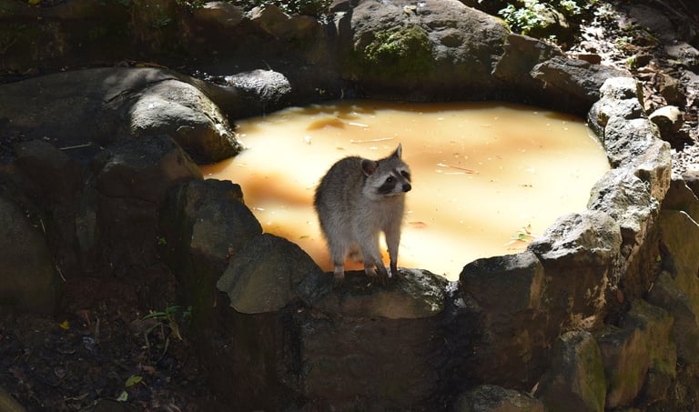 voyage France Guadeloupe Zoo