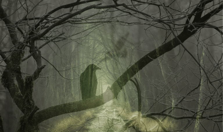 shadowy crow on a branch symbolising the nature of shadow like an exile