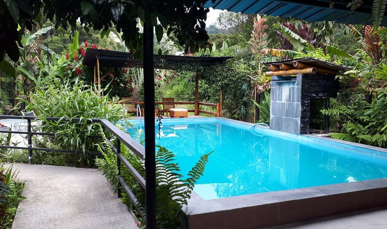 #mindo-hotel-restaurant-bicok-piscine