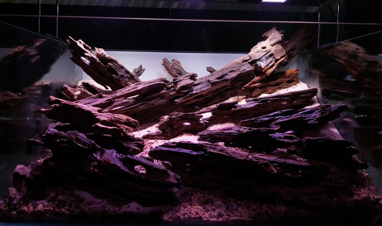 hardscape troncos aquario