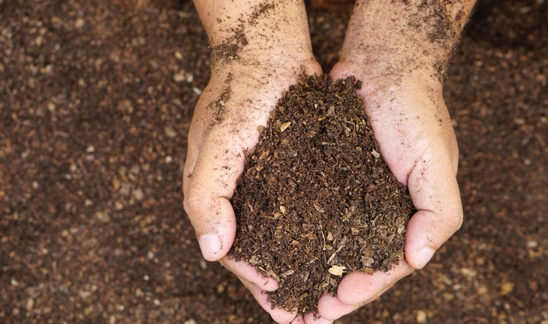 a person holding compost in their hands