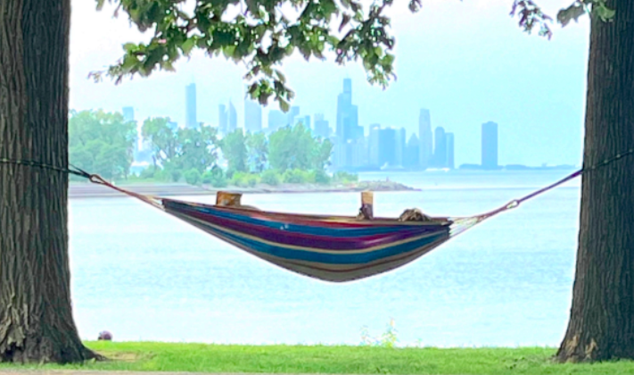 Promontory Point, hammock, book, dog - photo taken by a friend of a member - Link to August 2024 New