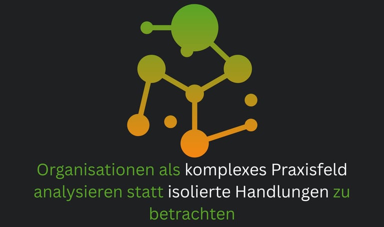 Organisationen als Praxisfeld