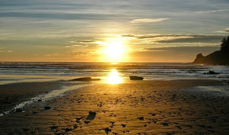 The beach sunset at Oswald West State Park in Oregon