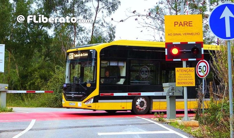 Meias barreiras Metrobus Mondego SMM