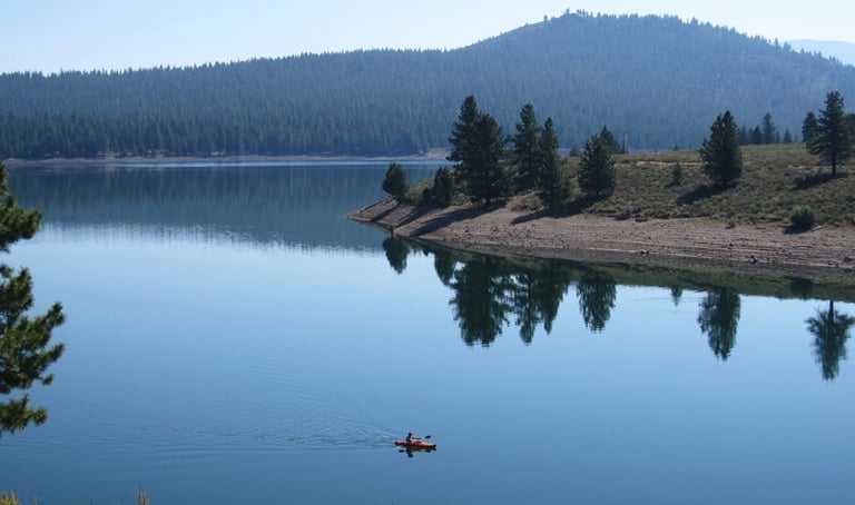 top dog friendly beaches north lake tahoe