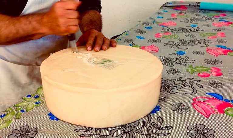 queso menonita en rueda