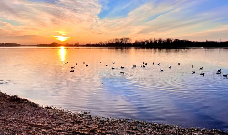 Paysage apaisant pour séance de Gestalt-thérapie adolescent à Décines-Charpieu.