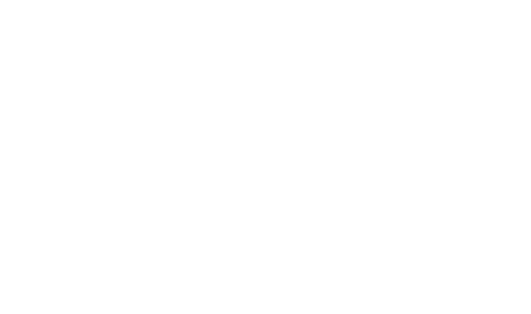 Rosie Dazzlers Mobile Auto Detailing