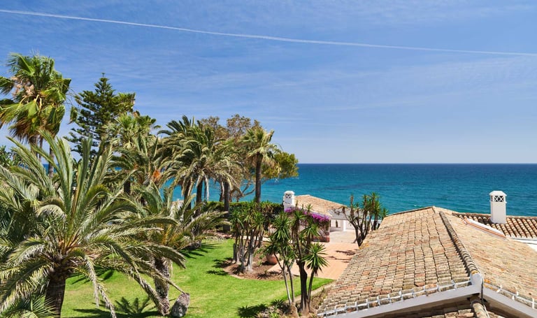 Palm gardens and tiled roofs by the sea