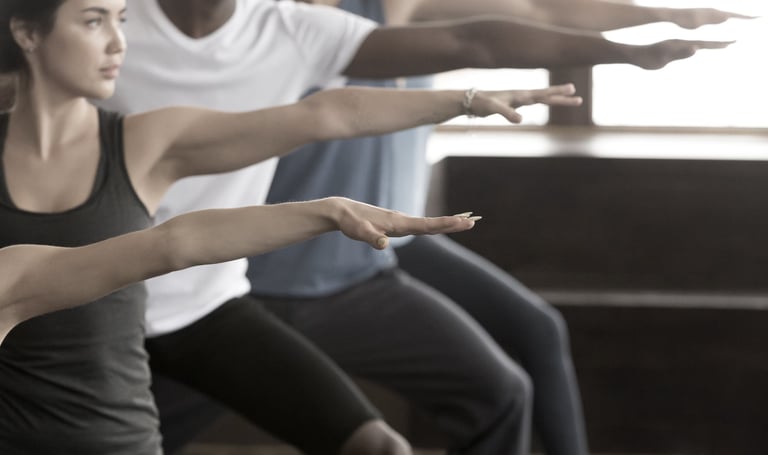 Mobilité,stabilité, force, resistance, endurance, controle et respiration.