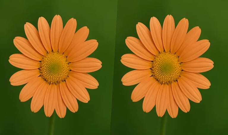 arxeia gia sosti psifiaki ektiposi