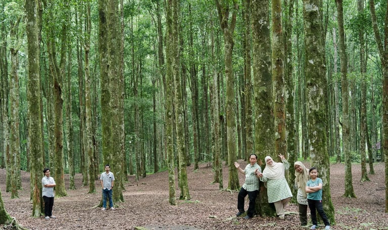 Iqbal family enjoying a natural family photography session in the pine forest of Kebun Raya Bedugul.