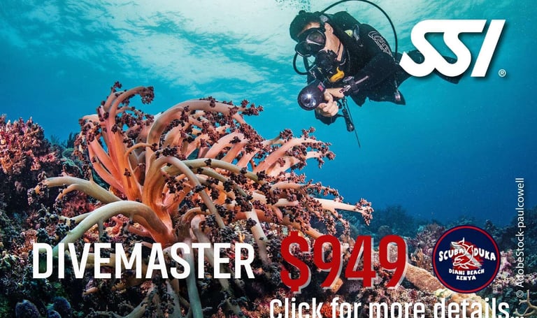 Scuba diver taking photos of colorful coral reefs during an SSI Divemaster course in Kenya.
