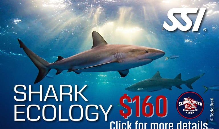 SSI Shark Ecology specialty course advertisement featuring sharks underwater at Diani Beach Kenya.