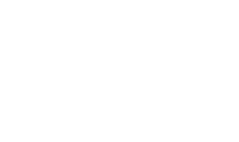 The Verndari Group official logo, featuring a Norse-inspired compass symbol.