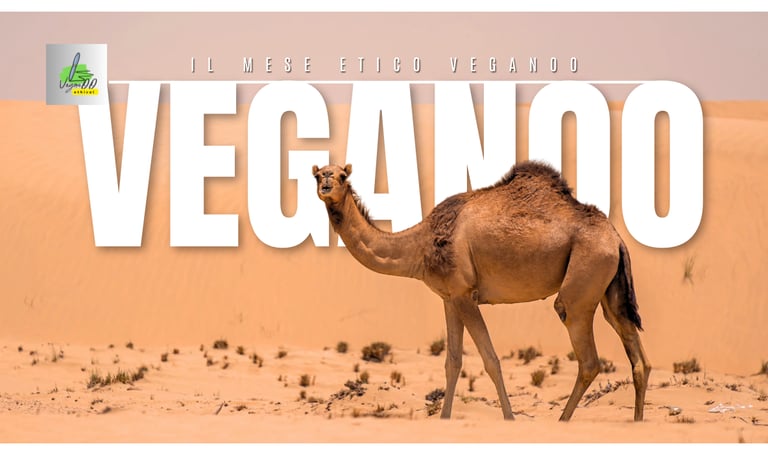 immagine desertica con un cammello in primo piano che ci osserva e una scritta VEGANOO