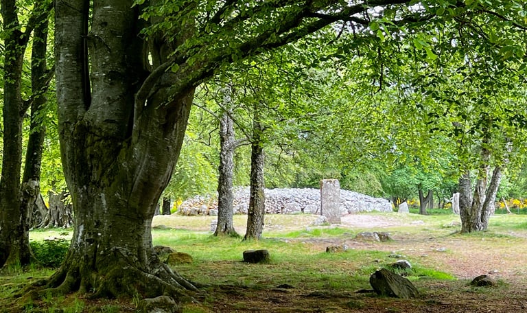 Clava cairns standing stones with trees in the foregorund