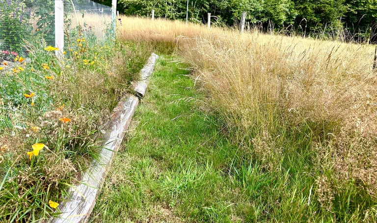 tonte raisonnée et biodiversité