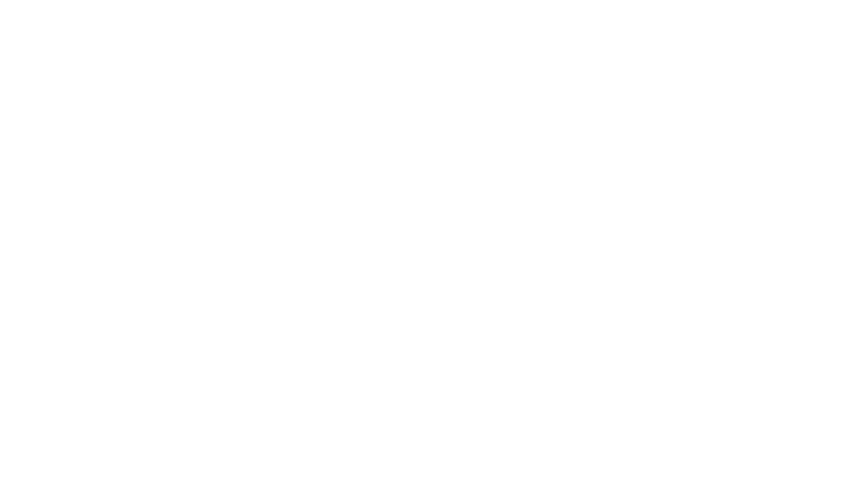 Rosie Dazzlers Mobile Auto Detailing