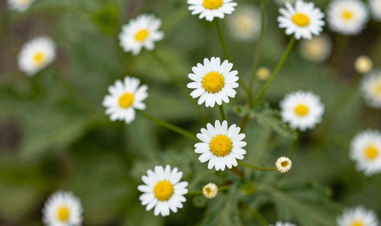 Bright living room with modern inventory