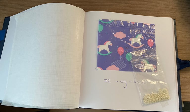 Nappy Patterns ABDL Scrapbook