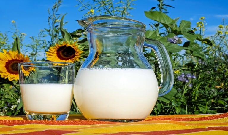 Milk in glass jar and glass