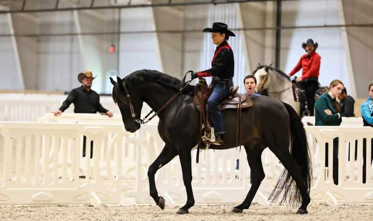 Renee Waters competing in western riding