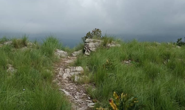 Scenic Hiking Trails of Togo