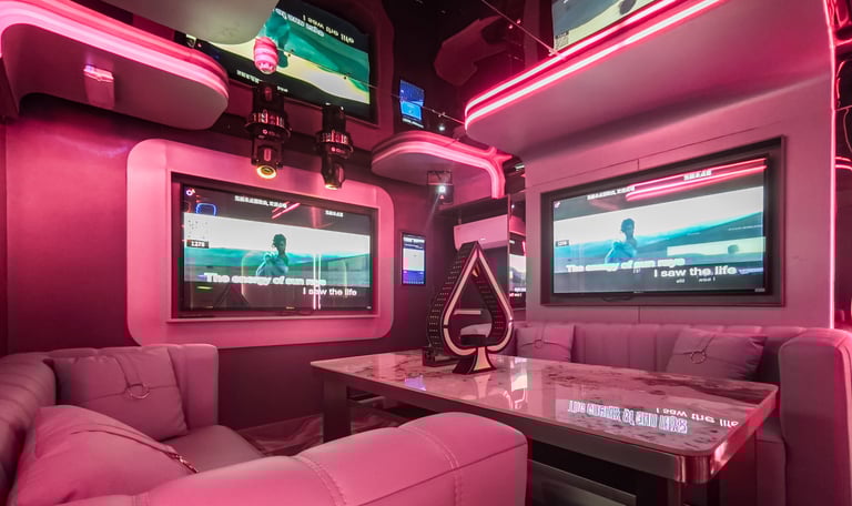 Primier Karaoke Room -Harmony Room