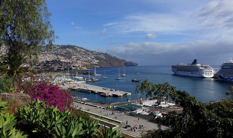Funchal Port with water and cruise ships in distance
