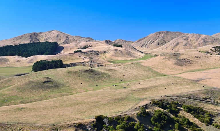 cape kidnappers napier new zealand hills with blue skys