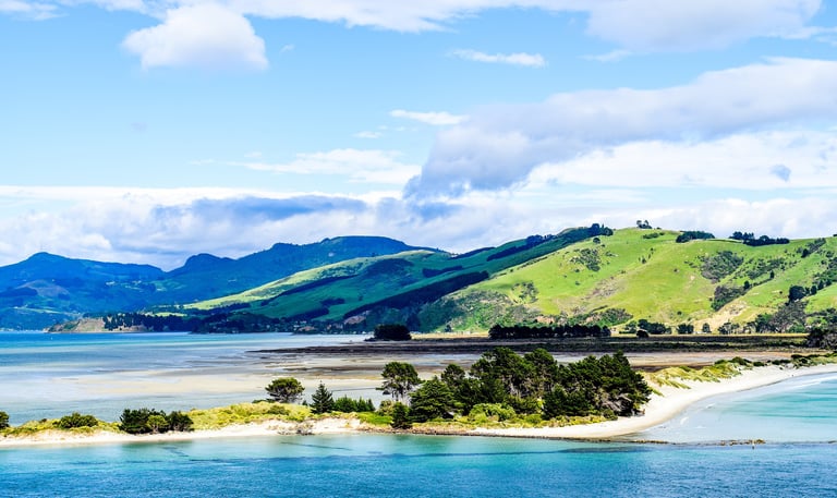 dunedin new zealand shoreline with blue sandy waters